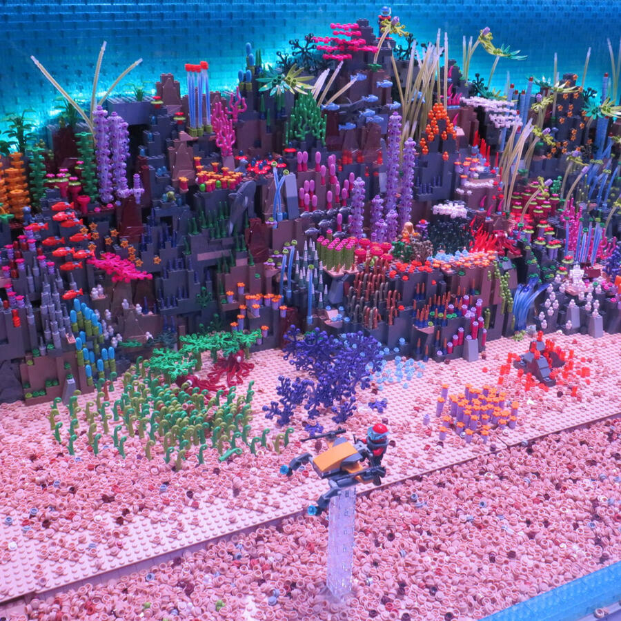 LEGO coral reef model