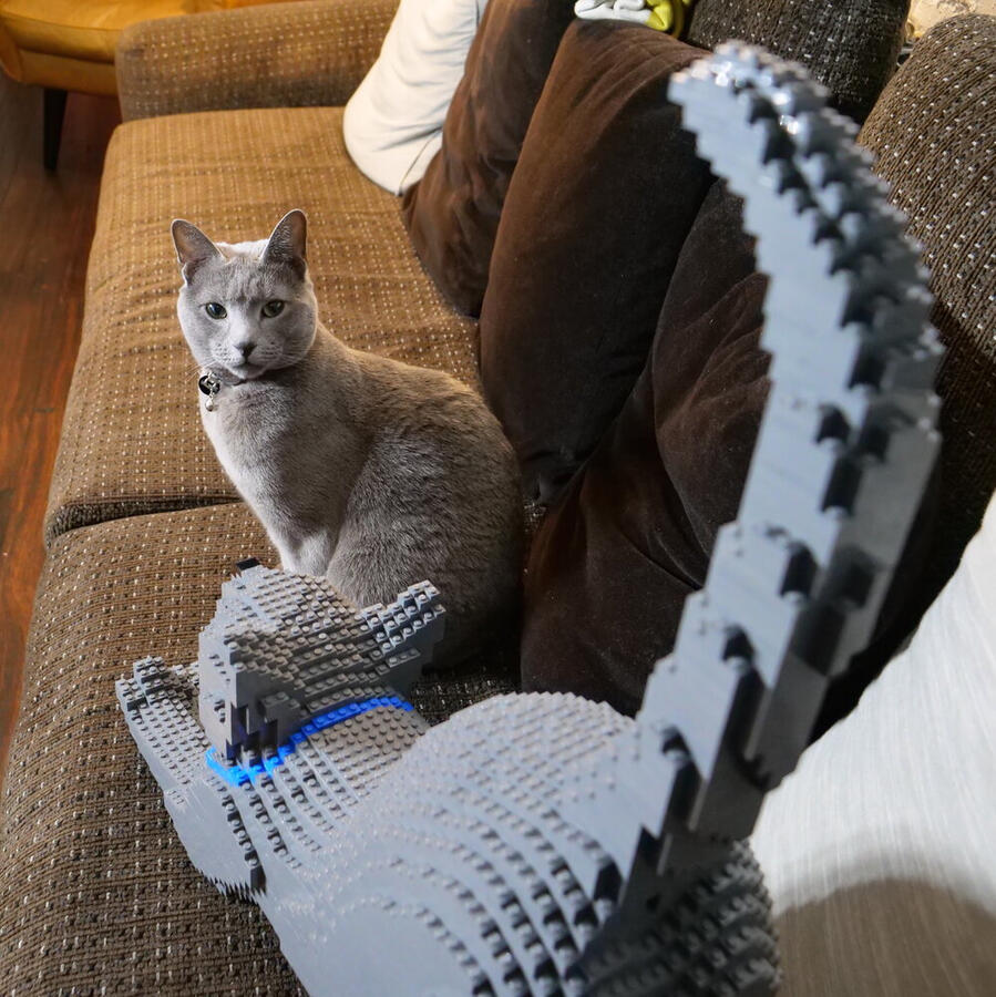 LEGO russian blue cat reaction