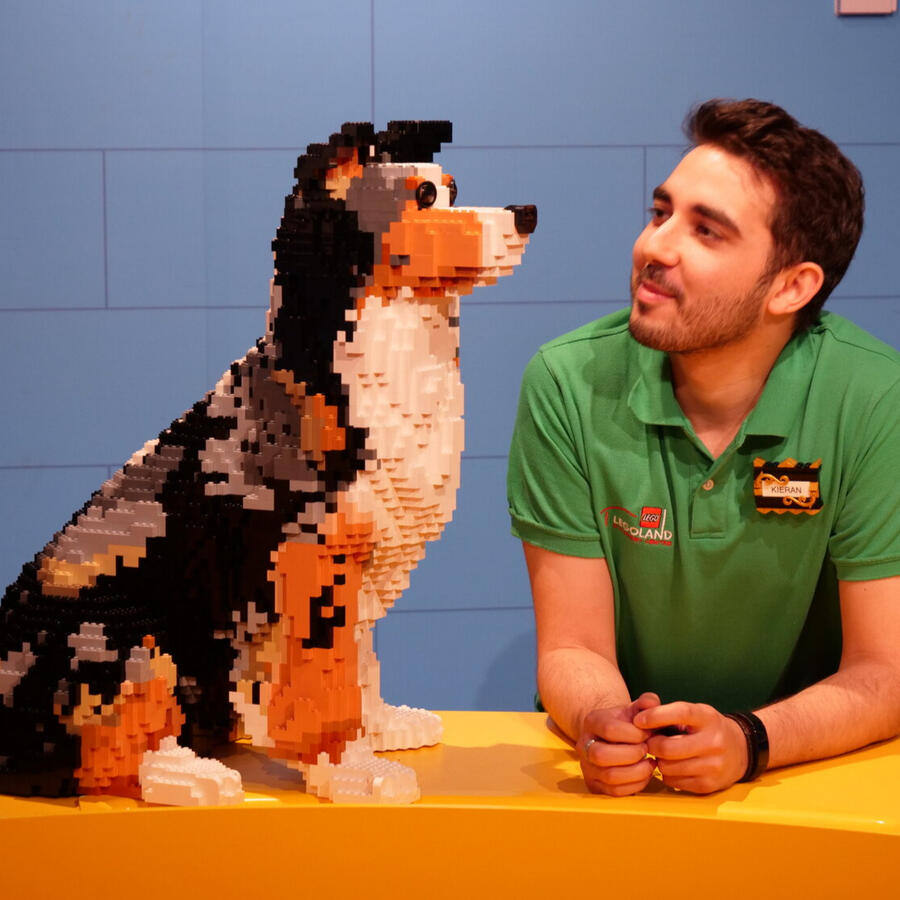 LEGO Border Collie dog scale