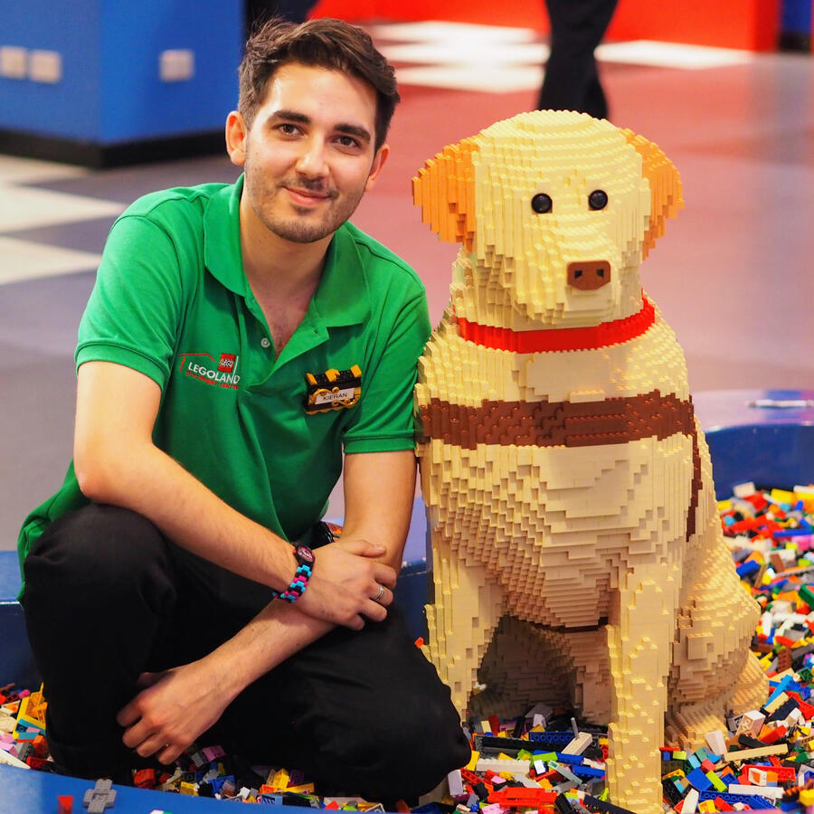 LEGO guide dog model