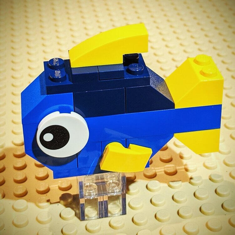 LEGO blue tang fish model instructions